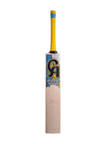 CA GOLD 1000