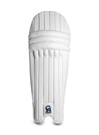 CA Pro 2000