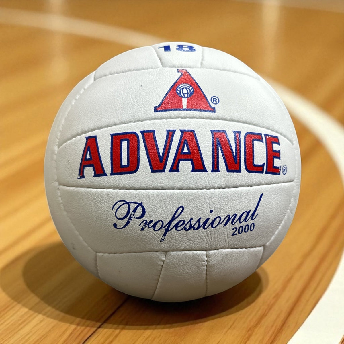 Advance Professional 2000 Smash Volleyball - Sports Zone