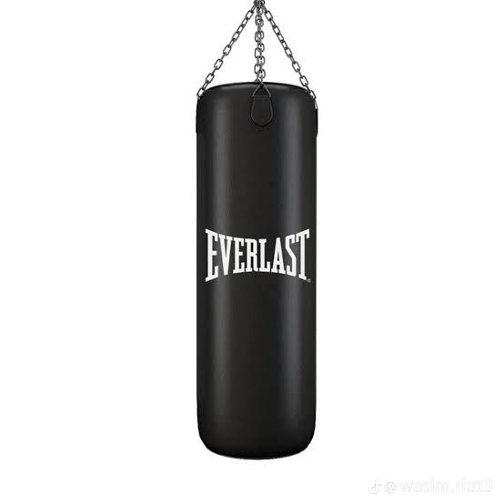 EVERLAST PUNCHING BAG – 3FT