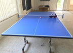 Table Tennis Table Bundle (Premium)