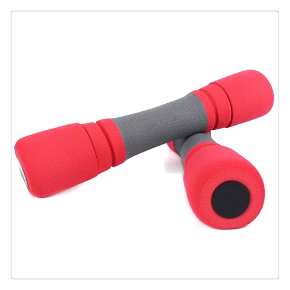 Foam Dumbbells 1Kg Pair Sunline | Ladies Dumbbells | Foam Padded Dumbbells