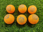 Table Tennis Ball Double Circle 40+