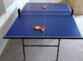 Table Tennis Table Chipboard Simple