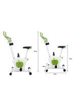 APLLE MAGNETIC EXERCISE BIKE