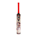 CA PLUS 15000 PLAYERS EDITION HARD BALL BAT